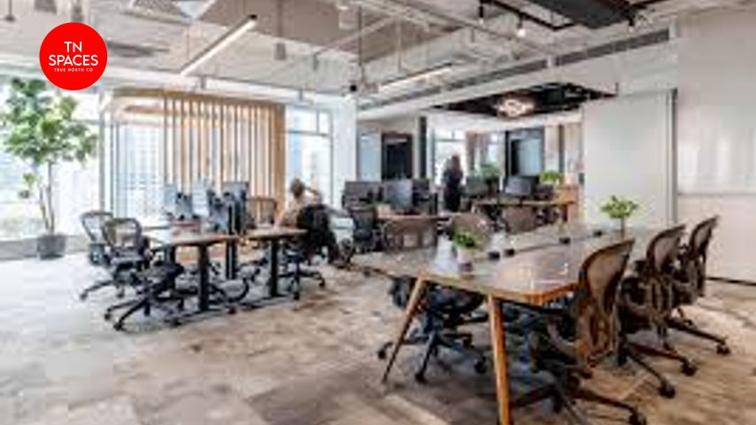 Giant Spaces Maestro